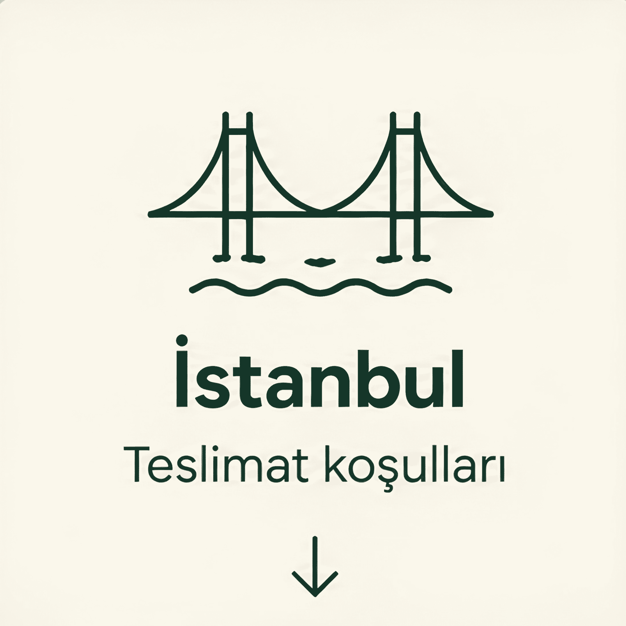 İstanbul teslimat bilgilerine git