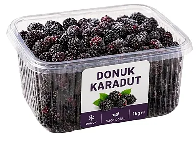Cool Line Dondurulmuş Karadut Kase - Cool Line