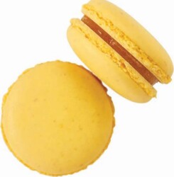 Hazz Makaron Limon - Hazz Makaron
