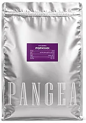 Pangea Coffee Beans Colombia Popayan 1Kg - Pangea