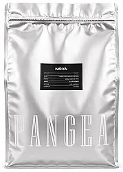 Pangea Specialty Coffee Beans Nova Espresso 1 Kg - Pangea