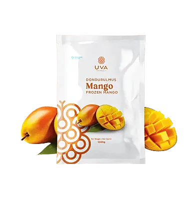 Uva Mango Küp - 1